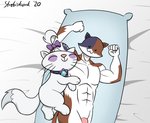 abs anthro bed body_pillow dakimakura dakimakura_pillow female flexing furniture genitals lying male muscular muscular_anthro muscular_male penis pillow solo strebiskunk epic_games fortnite friendship_is_magic hasbro my_little_pony meowscles opalescence_(mlp) calico_cat domestic_cat felid feline felis mammal 2020