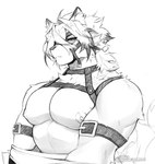 anthro areola clothing dipstick_ears ear_markings fur hair harness inner_ear_fluff kemono male multicolored_ears muscular muscular_anthro muscular_male nipples pecs solo straps tuft undressing zerpreros mihoyo zenless_zone_zero von_lycaon canid canine canis mammal wolf hi_res monochrome