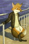 anthro clothing jacket leather leather_clothing leather_jacket leather_topwear male sea solo topwear water christaphorac canid canine fox mammal absurd_res hi_res