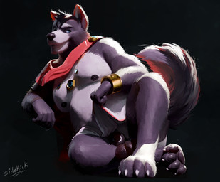 4_toes 5_fingers anthro balls black_nose blue_eyes bottomwear cape clothed clothing clothing_lift duo feet fingers fur genitals grey_body grey_fur hindpaw humanoid_hands loincloth loincloth_lift male nipples paws penis solo toes topless topless_anthro topless_male sidekick adastra adastra_(series) echo_project amicus_(adastra) canid canine canis mammal wolf hi_res