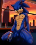 abs anthro balls blue_body blue_fur city clothing flaccid fur genitals gloves green_eyes handwear male muscular muscular_anthro muscular_male nipples nude pecs penis smile solo dgemporium sega sonic_the_hedgehog_(series) sonic_the_hedgehog eulipotyphlan hedgehog mammal 4:5 hi_res