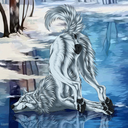animal_genitalia animal_vulva anus ass_up black_anus black_pawpads black_vulva blue_eyes butt_tuft canine_genitalia canine_vulva cheek_tuft closed_smile facial_tuft female female_feral feral fur genitals ice leg_tuft lying mouth_closed narrowed_eyes neck_tuft on_front outside pawpads reflection side_view smile solo text tuft vulva white_body white_fur msdeadsoul canid canine mammal 1:1 2024 artist_name dated hi_res