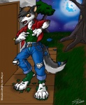 anthro bottomwear clothing footwear full_moon legwear male moon night outside pants paws shirt sky socks solo star starry_sky tail teeth topwear transformation catmonkshiro mythology thrash thrashwolf canid canine canis mammal mythological_canine mythological_creature werecanid werecanine werecreature werewolf wolf