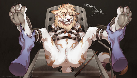 andromorph andromorph_focus anthro anus belt biped duo forced genitals gynecological_chair immobilization intersex intersex_focus paws solo_focus tickling torture vulva psychobirb cassius_(oldmancassius) canid canine mammal hi_res