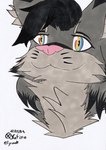 ambiguous_gender anthro black_hair french_artist fur grey_body grey_fur hair inner_ear_fluff multicolored_eyes neck_tuft pink_nose rainbow_eyes solo tuft xefino fywolf bobcat felid feline lynx mammal 2024 absurd_res dated flat_colors headshot_portrait hi_res marker_(artwork) portrait traditional_media_(artwork) trans_(lore)