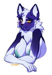 5_fingers anthro big_breasts breasts brown_eyes crossgender female fingers fist lips looking_at_viewer nipple_piercing nipples nude piercing smile solo thick_lips littlesheep salvo_(baset3mpest) canid canine fox mammal 2023