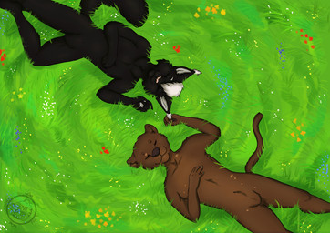 anthro dandelion duo female flower fluffy grass light male male/female plant sun sunlight cynthiafeline domestic_cat euplerid felid feline felis fossa maine_coon mammal 2020 absurd_res hi_res