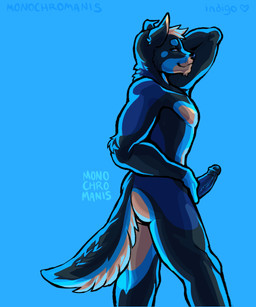anthro countershade_accent erection genitals hand_behind_head looking_at_viewer male one_ear_up penis presenting presenting_penis solo standing tail monochromanis roy_the_dog canid canine canis domestic_dog husky mammal mastiff molosser nordic_sled_dog rottweiler spitz hi_res