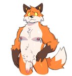 anthro armpit_hair belly body_hair eyebrows fluffy genitals humanoid_genitalia humanoid_penis male muscular nipples penis raised_eyebrow solo tail yellow_eyes sparklesart_2 epic_games fortnite fennix_(fortnite) canid canine fox mammal red_fox true_fox digital_drawing_(artwork) digital_media_(artwork) digital_painting_(artwork) hi_res