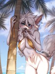 anthro bikini biped bite blue_eyes bottomless cheek_tuft claws clothed clothing cloud detailed_background ear_piercing ear_ring facial_tuft female finger_bite finger_claws finger_in_mouth fur genitals humanoid_genitalia humanoid_pussy innie_pussy looking_at_viewer navel piercing plant pussy ring_piercing solo swimwear tail tree tuft two-piece_swimsuit white_body white_fur white_tail spuydjeks blizzard_entertainment warcraft lexi_joyhart canid mammal were werecanid worgen 2024 colored digital_drawing_(artwork) digital_media_(artwork) hi_res portrait three-quarter_portrait