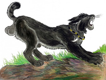 balls black_body black_fur feral fur genitals male open_mouth outside raised_tail side_view stretching tail yawn dragoness31 kade_(dragoness31) felid feline lynx mammal hi_res