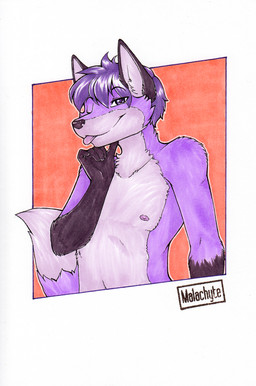 anthro biped black_ears black_markings black_nose blep blue_eyes cheek_tuft closed_smile countershade_face countershade_fur countershade_neck countershade_torso countershading dipstick_tail eyebrows facial_tuft front_view fur gloves_(marking) hair inner_ear_fluff looking_at_viewer male markings mouth_closed multicolored_body nipples nude one_eye_closed purple_body purple_hair short_hair simple_background smile solo tail tail_markings tongue tongue_out tuft two_tone_body white_body white_markings wink winking_at_viewer malachyte kelix_malachite canid canine fox mammal 2015 half-length_portrait hi_res portrait traditional_media_(artwork)