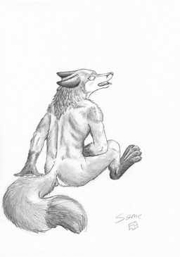 anthro blush butt caught_in_the_act caught_masturbating fur gloves_(marking) looking_at_viewer male markings masturbation paws pivoted_ears rear_view simple_background sitting sitting_on_ground solo surprised tail tongue tongue_out white_background some_(someone) canid canine fox mammal absurd_res graphite_(artwork) hi_res traditional_media_(artwork)