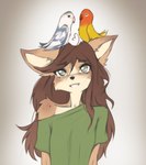 ambiguous_gender anthro beak bird_on_head blue_body blue_feathers breasts brown_body brown_fur brown_hair clothed clothing countershading eyes_closed feathers female front_view fur group hair long_hair shirt simple_background sitting sitting_on_another sitting_on_head small_breasts smile teeth topwear trio white_body white_feathers wings yellow_body yellow_feathers tinygaypirate cotton_(yshanii) avian bird canid canine canis dingo mammal parrot 2024 absurd_res hi_res