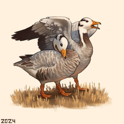 beak black_body black_eyes black_feathers duo feathers feet feral grass grey_body grey_feathers membrane_(anatomy) multicolored_body multicolored_feathers orange_feet plant simple_background spread_wings toes webbed_feet white_background white_body white_feathers wings yellow_beak alexpahomov anatid anseriform anserine avian bar-headed_goose bird goose 1:1 2024 digital_media_(artwork) digital_painting_(artwork) hi_res painting_(artwork)