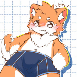 anthro blush blush_lines bulge clothing fluffy fluffy_tail geometric_background grid_background hands_on_hips kemono legwear looking_at_viewer low-angle_view male multicolored_body navel orange_body pattern_background simple_background solo tail text thigh_highs two_tone_body white_body young young_anthro m0fuch4 canid canine canis mammal wolf 1:1 2025 hi_res japanese_text
