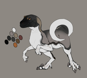 ambiguous_feral ambiguous_gender biped brown_body claws color_swatch feral glistening glistening_eyes grey_background grey_body grey_tail looking_at_viewer mouth_closed pupils sickle_claw side_view simple_background slit_pupils solo tail toe_claws white_body white_tail roobin dinosaur dromaeosaurid prehistoric_species reptile saurischian scalie theropod absurd_res hi_res model_sheet