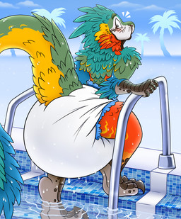 anthro big_diaper blue_body blue_feathers blush claws clothed clothing diaper diaper_fetish diaper_only embarrassed feathered_crest feathered_tail feathers green_body green_feathers head_crest looking_back male outside pool poolside red_body red_feathers shocked sky solo tail topless unclean_diaper waterlogged_diaper wearing_diaper wet wet_body wet_clothing yellow_body yellow_feathers mapimoo_(artist) alexian dinosaur dromaeosaurid feathered_scalie prehistoric_species reptile saurischian scalie theropod velociraptor 2025 absurd_res digital_drawing_(artwork) digital_media_(artwork) hi_res