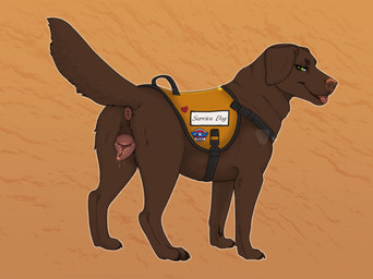 all_fours anatomically_correct anatomically_correct_genitalia anatomically_correct_vulva animal_genitalia animal_vulva anus bedroom_eyes bodily_fluids brown_body brown_fur butt canine_genitalia canine_vulva female feral floppy_ears fur genital_fluids genitals looking_at_viewer looking_back narrowed_eyes presenting presenting_anus presenting_hindquarters presenting_vulva raised_tail seductive service_animal service_dog_harness simple_background solo tail tongue tongue_out vaginal_fluids vulva baohellhound terra_(tiquana) bird_dog canid canine canis domestic_dog hunting_dog labrador mammal retriever 2025 absurd_res digital_media_(artwork) hi_res