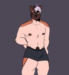 anthro black_briefs black_clothing black_underwear briefs brown_body brown_face brown_fur brown_nipples brown_pubes clothed clothed_anthro clothed_male clothing countershading eyewear front_view fur glasses hair hand_behind_back male multicolored_hair nipples orange_body orange_fur pink_hair pubes smile solo standing tan_body tan_countershading tan_fur topless topless_anthro topless_male two_tone_hair underwear melaisen bau_(melaisen) akita american_akita canid canine canis domestic_dog mammal spitz 2022 absurd_res digital_drawing_(artwork) digital_media_(artwork) hi_res portrait three-quarter_portrait nonbinary_(lore)