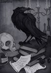 ambiguous_gender beak black_body black_feathers bone book candle feathers feet feral paper skull solo talons toes irenhorrors edgar_allan_poe the_raven_(poem) avian bird corvid corvus_(genus) oscine passerine raven signature