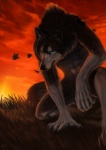 absurd_res anthro biped black_body black_fur black_nose blackpassion777 blue_eyes canid canine canis fur grass grey_body grey_fur hi_res kneeling leaf male mammal nude plant solo sunset wind wolf