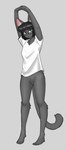 anthro arms_above_head bangs black_hair blue_eyes bottomless clothed clothing female front_view fur genitals grey_body grey_fur hair pussy shirt shirt_only simple_background solo standing stretching t-shirt topwear topwear_only 427deer domestic_cat felid feline felis mammal absurd_res hi_res