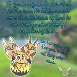 1:1 alolan_form alolan_raichu bonnie_the_raichu egg english_text generation_1_pokemon generation_2_pokemon generation_7_pokemon hatching hi_res nintendo pichu pokemon pokemon_(species) raichu regional_form_(pokemon) shiny_pokemon starry_eyes text