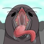 ambiguous_gender bodily_fluids breath mouth open_mouth saliva saliva_on_tongue saliva_string simple_background simple_eyes solo teeth toony_eyes vore whiskers yellow_teeth jtay mammal marine pinniped sea_creature sea_lion seal 1:1 hi_res shaded simple_shading