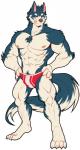 abs anthro biceps clothed clothing fur male muscular muscular_anthro muscular_male nipples pecs simple_background solo underwear orzero orzero_(character) canid canine canis domestic_dog husky mammal nordic_sled_dog spitz 2017