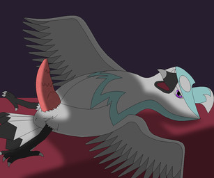 alternate_color animal_genitalia anus erection feathers feral genitals looking_at_viewer lying male on_back penile_spines penis presenting purple_eyes solo solarius nintendo pokemon avian bird generation_4_pokemon pokemon_(species) staraptor 2016 6:5 aliasing digital_media_(artwork)