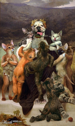 anthro climbing female group harem real sitting standing tail ccz third-party_edit worth1000 canid canine canis domestic_cat domestic_dog felid feline felis mammal grandfathered_content shopped