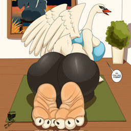 3_toes anthro barefoot beak butt dialogue feet female foot_focus inside looking_at_viewer looking_back plant soles speech_bubble text toes white_body wings wrinkled_feet wrinkles yoga_mat maximus21 ms._daphne_(maximus21) anatid anseriform anserinae avian bird swan 1:1 digital_media_(artwork) english_text hi_res shaded simple_shading
