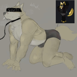 all_fours anthro biped bodily_fluids briefs bulge clothed clothing collar cum cum_in_clothing cum_through_clothing feet fingers fluffy_fur fur genital_fluids grey_background leash male scar simple_background solo speedo speedo_only swimwear tail tan_body tan_fur tan_tail text toes topless underwear wet wet_clothing 02dcslol remember_the_flowers roblox cooper_krager canid canine canis mammal wolf english_text