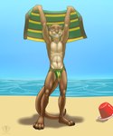 4_toes abs anthro athletic athletic_anthro athletic_male beach beach_towel brown_body brown_claws brown_fur brown_nose brown_pawpads bucket bulge claws clothed clothing container day feet fingers fur green_eyes hands_above_head holding_object holding_towel logo looking_at_viewer male multicolored_body multicolored_fur navel outside pawpads paws pecs plantigrade sand sea serratus sky slim smile solo speedo speedo_only standing swimwear tail tan_body tan_fur teeth text thick_tail toe_claws toes toothy_smile topless towel two_tone_body two_tone_fur water vallhound mammal mustelid otter artist_logo artist_name hi_res shaded soft_shading