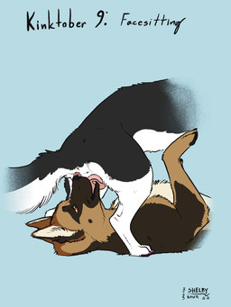 ambiguous_gender animal_genitalia animal_vulva anus black_body black_fur black_nose black_tail blue_background brown_body brown_eyes brown_fur canine_genitalia canine_vulva cunnilingus duo facesitting fangs female female/ambiguous feral feral_on_feral fur genitals open_mouth oral pink_anus pink_vulva sex simple_background sitting_on_another tail teeth tongue tongue_out vaginal vulva white_body white_fur white_tail sketchy_shelby north_shepherd canid canine canis domestic_dog german_shepherd herding_dog mammal pastoral_dog 3:4 hi_res