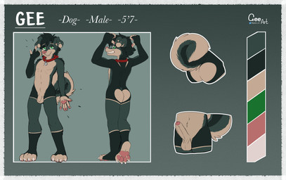 collar erection flaccid foreskin genitals green+fur green_eyes humanoid_genitalia humanoid_penis male pawpads paws penis pink_pawpads solo standing geeart gee canid canine mammal absurd_res hi_res model_sheet