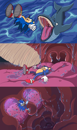 3_panel_comic 5_fingers ambiguous_gender anthro biped black_nose blue_body blue_fur bodily_fluids clenched_teeth clothing duo falling feral fin fingers flippers footwear fur gloves green_eyes handwear holding_uvula imminent_vore inside_mouth larger_pred lying lying_on_tongue male multicolored_body on_back open_mouth oral_vore pink_tongue quills_(anatomy) red_clothing red_footwear red_shoes saliva saliva_on_tongue saliva_string sea shoes size_difference tail tail_fin teeth tongue two_tone_body unwilling_prey uvula vore water wet white_clothing white_gloves white_handwear feedfancier sega sonic_the_hedgehog_(series) sonic_the_hedgehog aquatic baleen_whale cetacean eulipotyphlan hedgehog mammal whale 2025 absurd_res cel_shading comic digital_drawing_(artwork) digital_media_(artwork) hi_res shaded male_(lore)