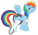blue_body blue_feathers blue_fur bottomwear butt clothing cutie_mark equid equine feathered_wings feathers female feral footwear friendship_is_magic fur hair hasbro hooves horseshoe legwear mammal multicolored_hair multicolored_tail my_little_pony mythological_creature mythological_equine mythology panties pegasus rainbow_dash_(mlp) rainbow_hair rainbow_tail school_uniform simple_background skirt socks solo stockings student tail underwear uniform unknown_artist white_background wings