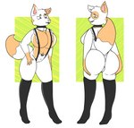 anthro big_tail breasts butt claws clothed clothing collar female footwear fur hair jewelry knee_highs knee_socks legwear maid_uniform necklace simple_background socks solo tail tight_clothing underwear uniform phant0mhat domestic_cat felid feline felis mammal digital_media_(artwork) hi_res