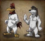 anthro avian avian_caruncle balls barnyard_dawg basset_hound beak bird black_nose canid canine canis chicken comb_(anatomy) dewlap_(anatomy) domestic_dog duo erection foghorn_leghorn galliform gallus_(genus) genitals head_crest humanoid_genitalia humanoid_penis hunting_dog k-9 leghorn_chicken looking_at_viewer looney_tunes male male/male mammal nude penis phasianid scent_hound vein warner_brothers wattle white_balls