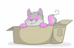 box cardboard cardboard_box container eyes_closed feral front_view fur grey_body grey_fur happy in_box in_container male pink_body pink_fur raised_tail simple_background smile solo tail this_way_up white_background backsash if_it_fits_i_sits_(meme) quill_quote canid canine canis domestic_dog husky husky_inu mammal nordic_sled_dog shiba_inu spitz digital_media_(artwork) meme shaded