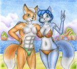 abs anthro beach bikini bikini_thong clothing countershading duo female male nipples seaside speedo swimwear two-piece_swimsuit white_body white_countershading sinaherib nintendo star_fox fox_mccloud krystal_(star_fox) canid canine fox mammal hi_res traditional_media_(artwork)