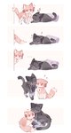 alternate_species cuddling duo ellipsis female feral furrification kemono question_mark sleeping sound_effects vowelless vowelless_sound_effect zzz kuro_chromium puella_magi puella_magi_madoka_magica homura_akemi madoka_kaname domestic_cat felid feline felis mammal absurd_res hi_res