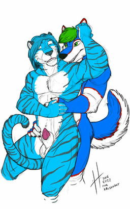 animal_genitalia anthro anthro_on_anthro athletic athletic_anthro athletic_male balls bite blue_body blue_fur blue_hair duo eyes_closed fur genitals green_eyes green_hair hair hug hugging_another hugging_from_behind male male/male male_anthro markings neck_bite nude open_mouth penis penis_tip red_markings red_penis sheath striped_arms striped_body striped_fur striped_legs striped_markings striped_tail stripes tail tail_markings white_balls white_body white_fur white_sheath hufnaar canid canine felid mammal pantherine tiger 2016 5:8 colored_sketch dated hi_res sketch