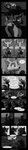 2020 absurd_res anthro bandage breasts buckteeth canid canine cheek_tuft clothed clothing comic crossover dialogue disney earpiece electronics embrace emmitt_otterton english_text eyes_closed eyewear facial_tuft female fox foxxj furniture glasses greyscale head_tuft hi_res imminent_sex inside interspecies judy_hopps kissing kneeling lagomorph leporid long_image lontra maid_marian male male/female mammal microphone monochrome mustelid news nick_wilde north_american_river_otter nude on_lap otter rabbit red_fox river_otter robin_hood robin_hood_(disney) romantic romantic_couple sitting sitting_on_lap smile sofa speech_bubble standing tall_image teeth television text true_fox tuft wounded zootopia