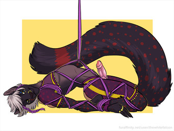 animal_genitalia animal_penis anthro bdsm biped bondage bound canine_genitalia canine_penis clothing ear_piercing erection femboy fur genitals hair harem harem_outfit knot legwear lying male on_back penile_spines penis piercing purple_body purple_fur rope solo submissive submissive_male white_hair dirtybird 2015 4:3