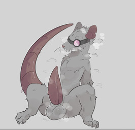 anthro balls big_balls big_penis bodily_fluids erection eyewear eyewear_only fur genitals goggles goggles_only grey_body grey_fur hairless_tail huge_penis male musk musky_balls nude nude_anthro nude_male penis simple_background solo sweat tail thick_tail whiskers cometdragonite mammal murid murine rat rodent