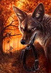 2007 black_collar black_nose canid canine canis collar coyote detailed_background fangs forest grass group kenket looking_at_viewer mammal outside traditional_media_(artwork) tree yellow_eyes

Rating: Safe
Score: 19
User: darkazma
Date: July 30, 2018