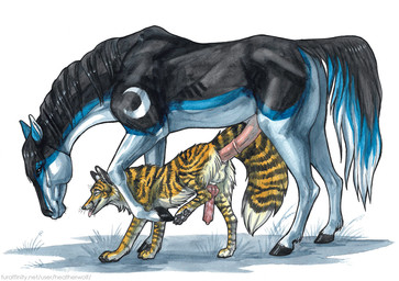 anal anal_penetration animal_genitalia animal_penis anus balls black_body black_fur black_mane black_markings black_stripes black_tail blue_eyes blue_markings blue_tail canine_genitalia canine_penis dipstick_tail duo equine_genitalia equine_penis erection eyes_closed feral feral_on_feral feral_penetrated feral_penetrating feral_penetrating_feral fur genitals glistening glistening_eyes grass interspecies knot knotted_penis large_penetration male male/male male_penetrated male_penetrating male_penetrating_male mane markings mouth_closed penetration penile penile_penetration penis penis_in_ass pink_penis plant sex side_view simple_background stretched_anus striped_back striped_legs striped_markings striped_tail stripes tail tail_markings white_background white_body white_fur white_markings white_tail yellow_tail heatherwolf canid canine equid equine horse mammal